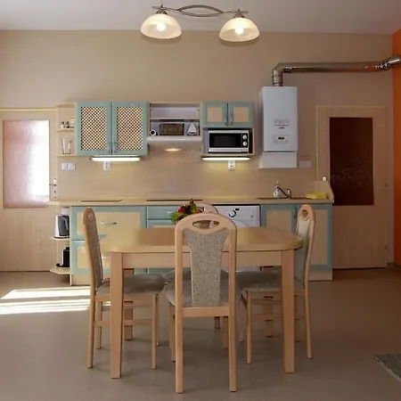 Homely Apartments Villa Christiana Marianske Lazne Room photo