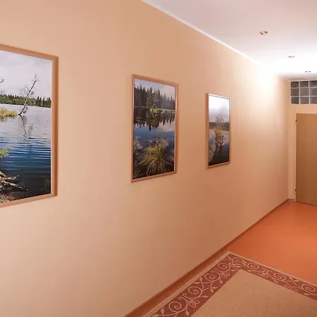 Homely Apartments Villa Christiana Marianske Lazne Room photo