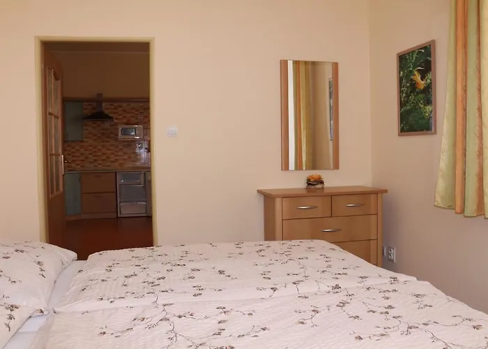 Homely Apartments Villa Christiana